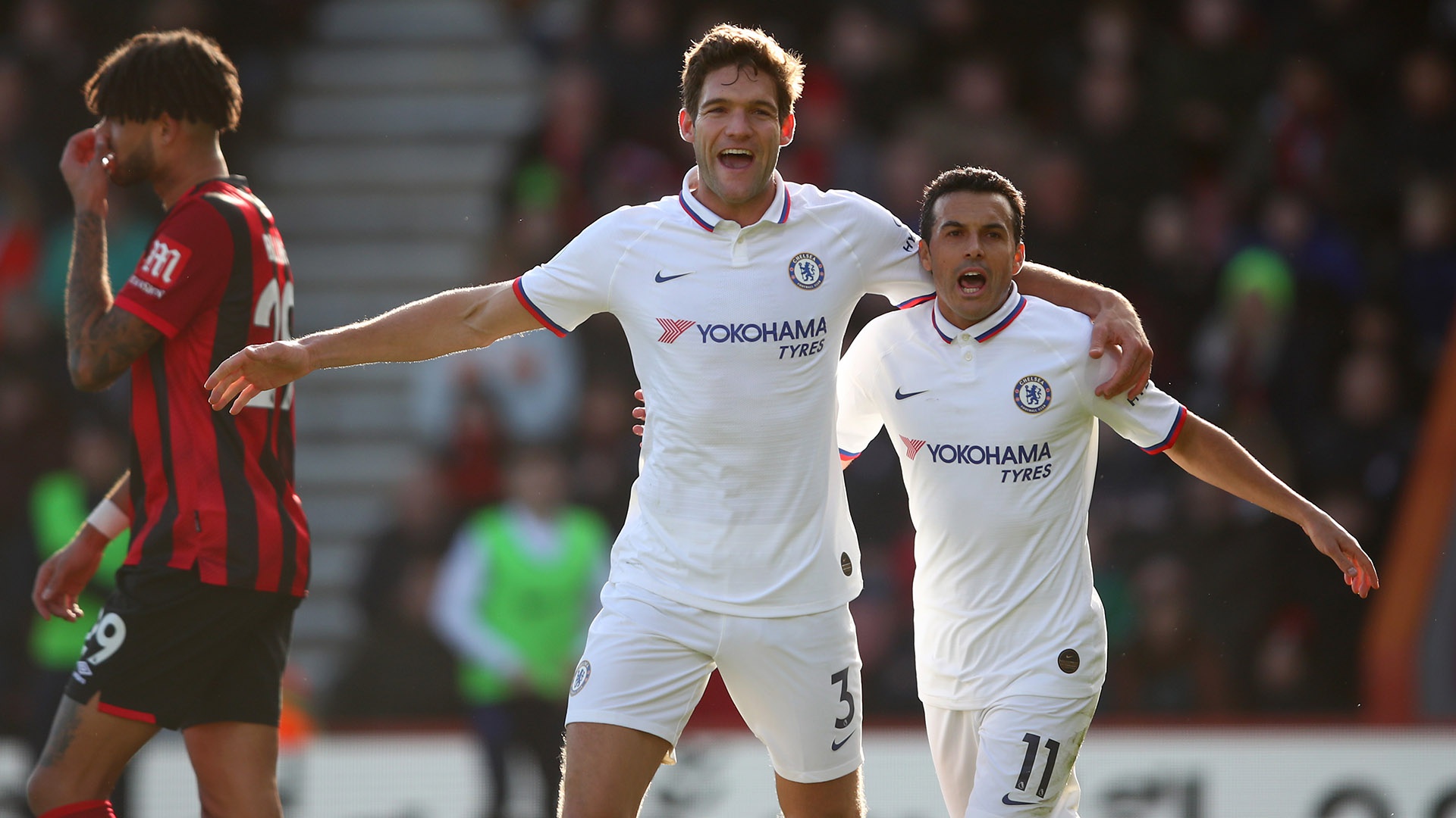 性将为赛事 性将为赛事