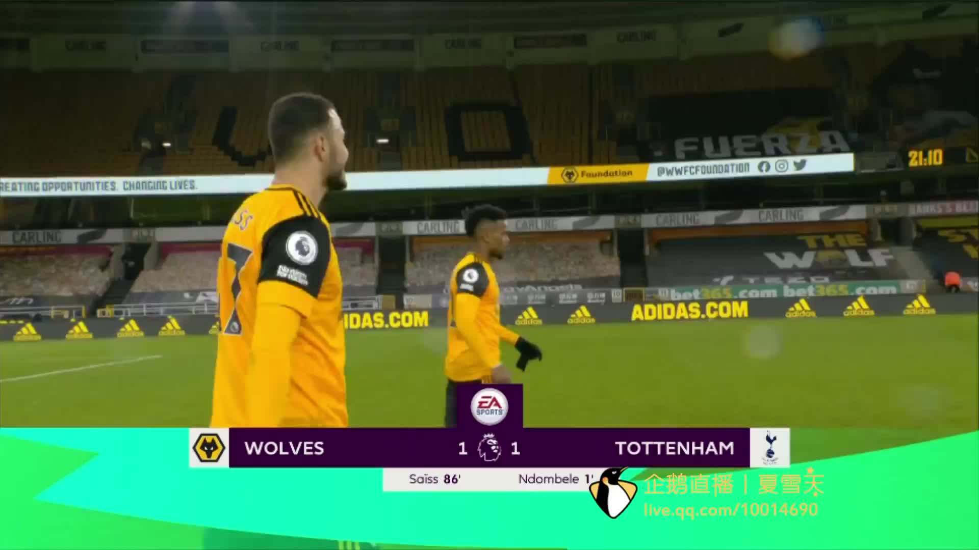 受瞩目的参 受瞩目的参